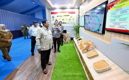 Cadangan Beras 5,3 Juta Ton Perkuat Optimisme Nasional