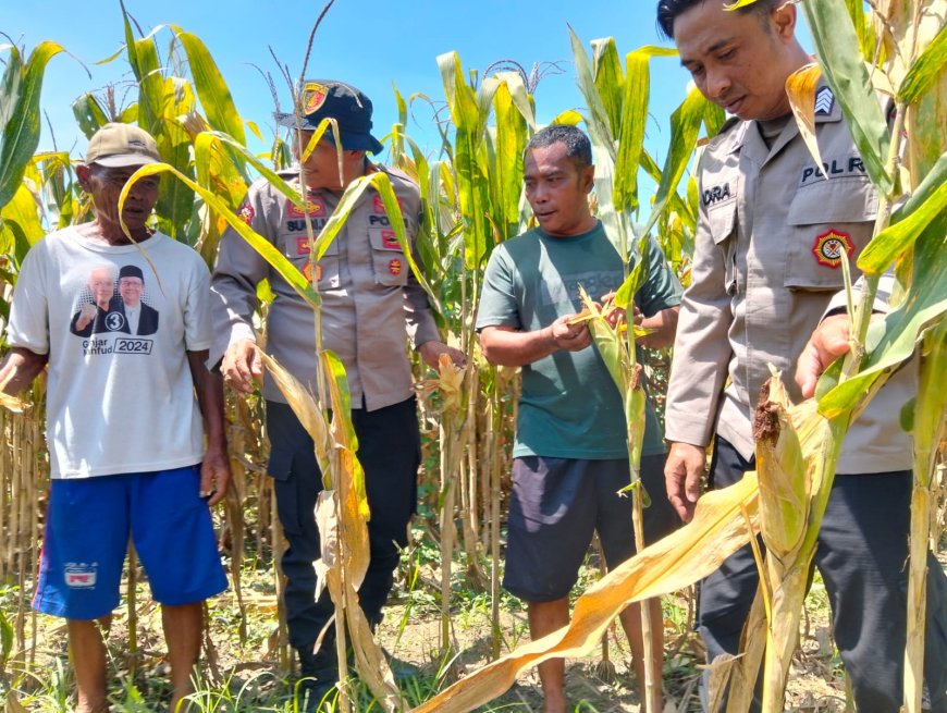 Polresta Sidoarjo Gelorakan Swasembada Pangan Melalui Program P2B