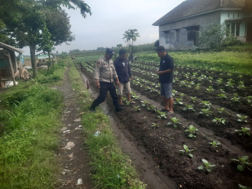 Polres Malang Perkuat Ketahanan Pangan Melalui Pemberdayaan Potensi Pangan Berkelanjutan
